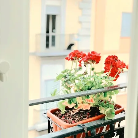 Albatros Suites&rooms